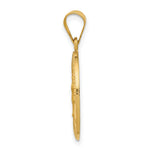 Load image into Gallery viewer, 14K Yellow Gold Polished and Satin Our Lady of Guadalupe Medal Pendant 13mm width