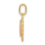 Load image into Gallery viewer, 14K Two-tone Gold Guadalupe Pendant