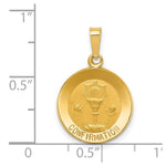 Load image into Gallery viewer, 14K Yellow Gold Polished and Satin Confirmation Medal Pendant 15mm width