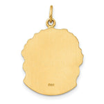 Load image into Gallery viewer, 14K Yellow Gold Hollow Polished/Satin Medium Jesus Medal