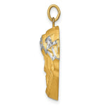 Load image into Gallery viewer, 14K Yellow Gold Hollow Polished/Satin Rhodium-plated Large Jesus Medal