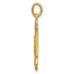 Load image into Gallery viewer, 14K Yellow Gold Solid Polished/Satin Medium Rectangle Framed Miraculous Medal
