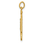 Load image into Gallery viewer, 14K Yellow Gold Solid Polished/Satin Large Rectangle Framed Miraculous Medal