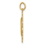 Load image into Gallery viewer, 14K Yellow Gold Solid Polished/Satin Small Fancy Oval Miraculous Medal
