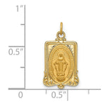 Load image into Gallery viewer, 14K Yellow Gold Solid Polished/Satin Rectangular Miraculous Medal