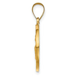 Load image into Gallery viewer, 14K Yellow Gold Hollow Polished/Satin Round St. Augustine Medal