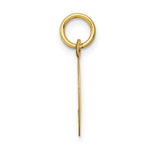 Load image into Gallery viewer, 14K Yellow Gold Holy Communion Disc Charm