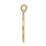 Load image into Gallery viewer, 14K Yellow Gold Saint Roch Medal Charm 15mm width