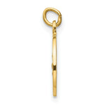 Load image into Gallery viewer, 14K Yellow Gold Saint Roch Medal Charm 12mm width