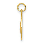 Load image into Gallery viewer, 14K Yellow Gold Saint Patrick Medal Charm 12mm width