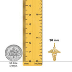 Load image into Gallery viewer, 14K Yellow Gold Caduceus Charm with Chain Necklace options
