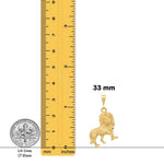 Load image into Gallery viewer, 14K Yellow Gold Lion Charm with Chain Necklace options
