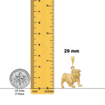 Load image into Gallery viewer, 14K Yellow Gold Bulldog Pendant with Necklace Chain Options

