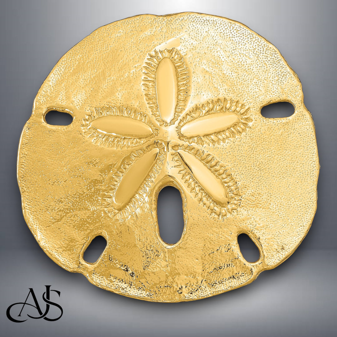 14K Yellow Gold Fits Up To 8mm and 10mm Medium Sand Dollar Slide with Necklace Chain Options