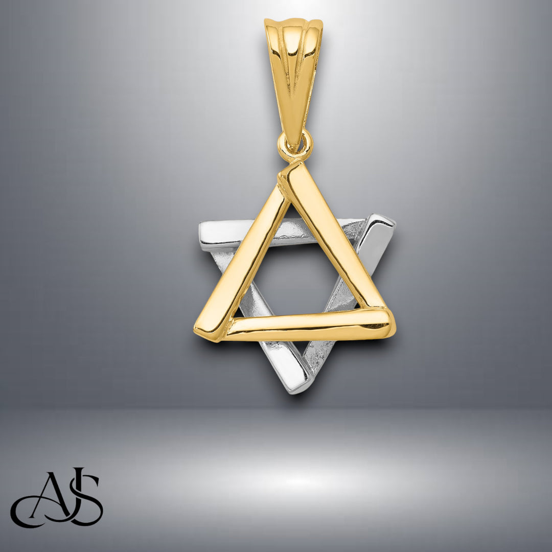 14K Two-tone Gold Star of David Pendant with Necklace Chain Options