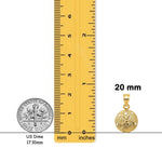 Load image into Gallery viewer, 14K Yellow Gold Solid Polished Laser-Cut Sand Dollar Pendant with Necklace Chain Options
