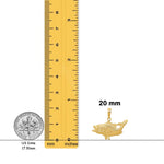 Load image into Gallery viewer, 14K Yellow Gold Open Mouthed Bass Fish Pendant with Necklace Chain Options
