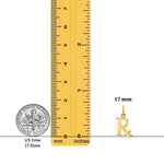 Load image into Gallery viewer, 14K Yellow Gold Prescription Symbol RX Charm with Necklace Chain Options
