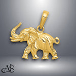 Load image into Gallery viewer, 14K Yellow Gold or White Gold Polished 3-D Elephant Pendant with Necklace Chain Options
