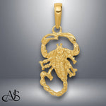 Load image into Gallery viewer, 14K Yellow Gold Scorpion Charm with Necklace Chain Options
