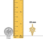 Load image into Gallery viewer, 14K Yellow Gold Caduceus w/Nurses Cap Pendant with Necklace Chain Options

