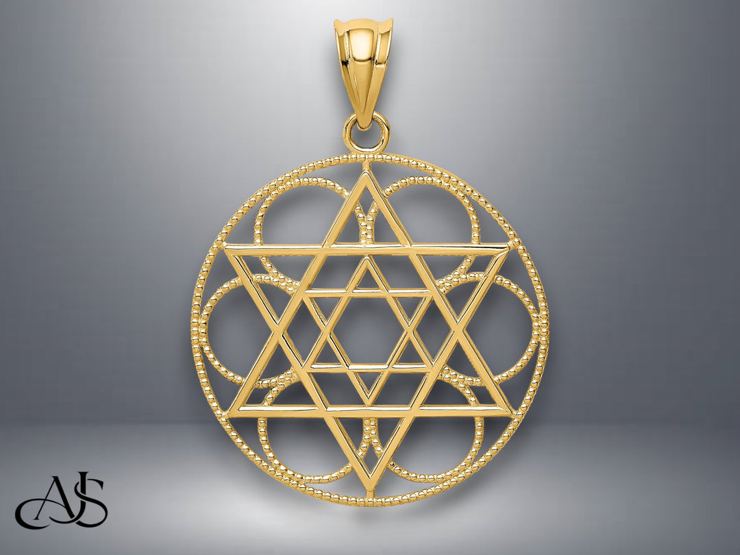 14K Yellow Gold Star of David Circle Pendant with Necklace Chain Options