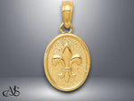 Load image into Gallery viewer, 14K Yellow Gold or White Gold Polished Small/Mini Fleur De Lis in Oval Pendant with Necklace Chain Options
