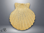 Load image into Gallery viewer, 14K Yellow Gold Fits Up To 8mm and 10mm Medium Scallop Shell Slide with Necklace Chain Options
