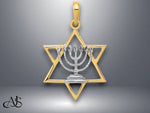 Load image into Gallery viewer, 14K Yellow Gold w/ White Rhodium Solid Menorah In Star Of David Charm with Necklace Chain Options
