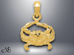 Load image into Gallery viewer, 14K Yellow Gold or White Gold Crab Pendant with Necklace Chain Options
