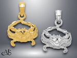Load image into Gallery viewer, 14K Yellow Gold or White Gold Crab Pendant with Necklace Chain Options
