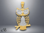 Load image into Gallery viewer, 14K Yellow Gold with Rhodium Diamond-cut Polished Moveable Owl Pendant with Necklace Chain Options
