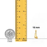 Load image into Gallery viewer, 14K Yellow Gold or White Gold Polished Foot Charm with Necklace Chain Options
