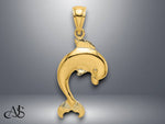 Load image into Gallery viewer, 14K Yellow Gold Polished Jumping Dolphin Charm with Necklace Chain Options
