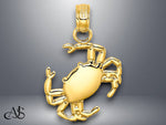 Load image into Gallery viewer, 14K Yellow Gold Polished Crab Charm with Necklace Chain Options
