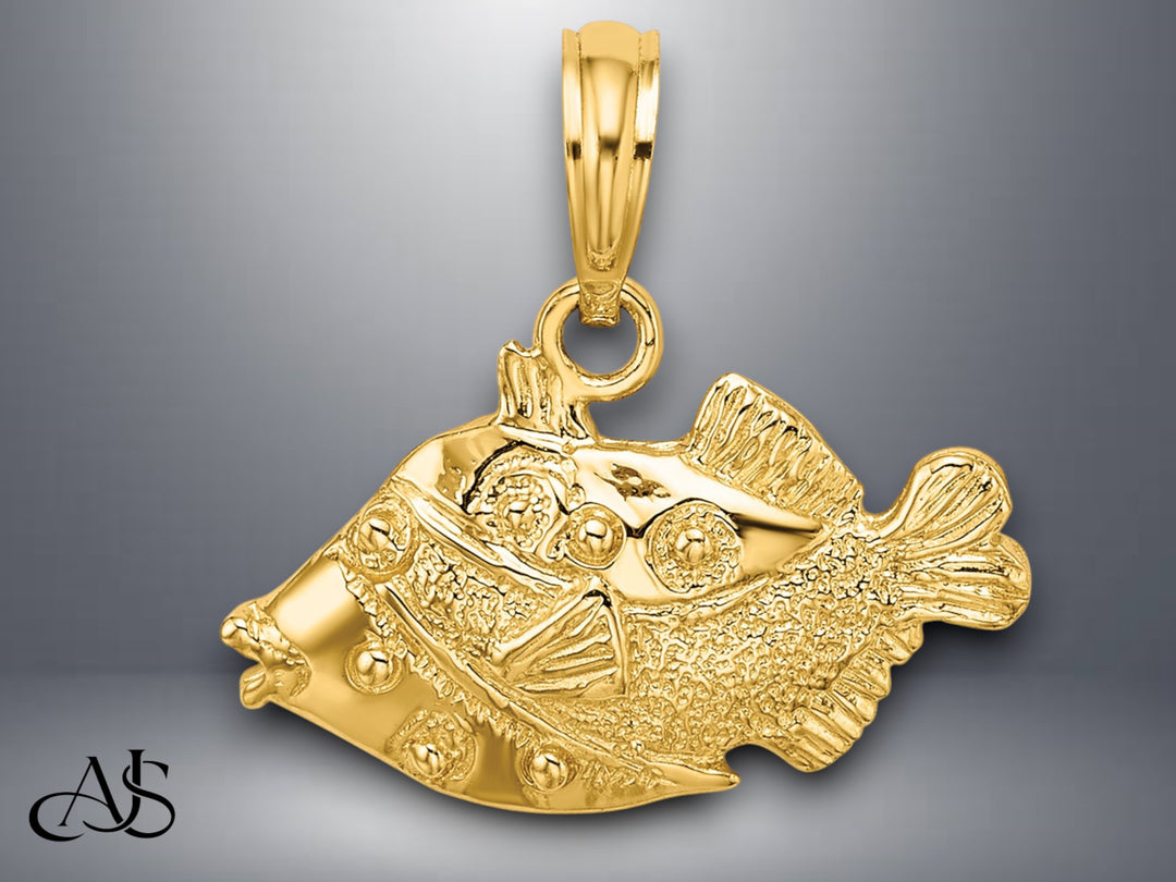 14K Yellow Gold 2-D Polished Engraved Fish Charm with Necklace Chain Options