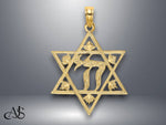 Load image into Gallery viewer, 14K Yellow Gold Textured Star Of David Charm with Necklace Chain Options
