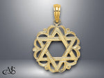 Load image into Gallery viewer, 14K Yellow Gold Star Of David In Scalloped Circle Charm with Necklace Chain Options
