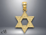 Load image into Gallery viewer, 14K Yellow Gold Engraved Swirls Star Of David Charm with Necklace Chain Options
