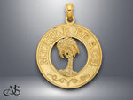 Load image into Gallery viewer, 14K Yellow Gold MYRTLE BEACH w/Palm Tree Circle Charm with Necklace Chain Options
