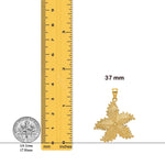 Load image into Gallery viewer, 14K Yellow Gold Starfish Charm with Necklace Chain Options
