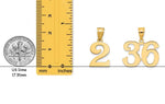 Load image into Gallery viewer, 14K Solid Gold Number Pendant: Polished Yellow or White Gold Charm

