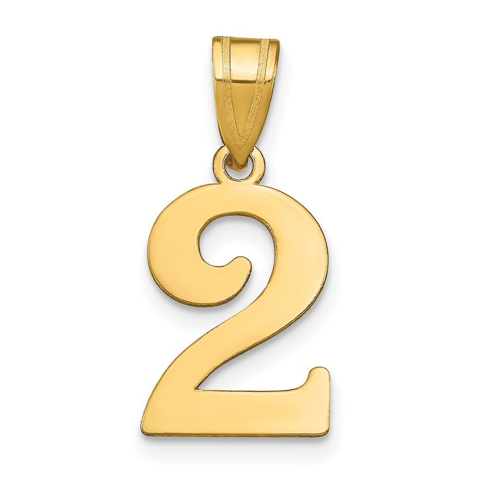 14K Yellow Gold Polished Number 20 Pendant