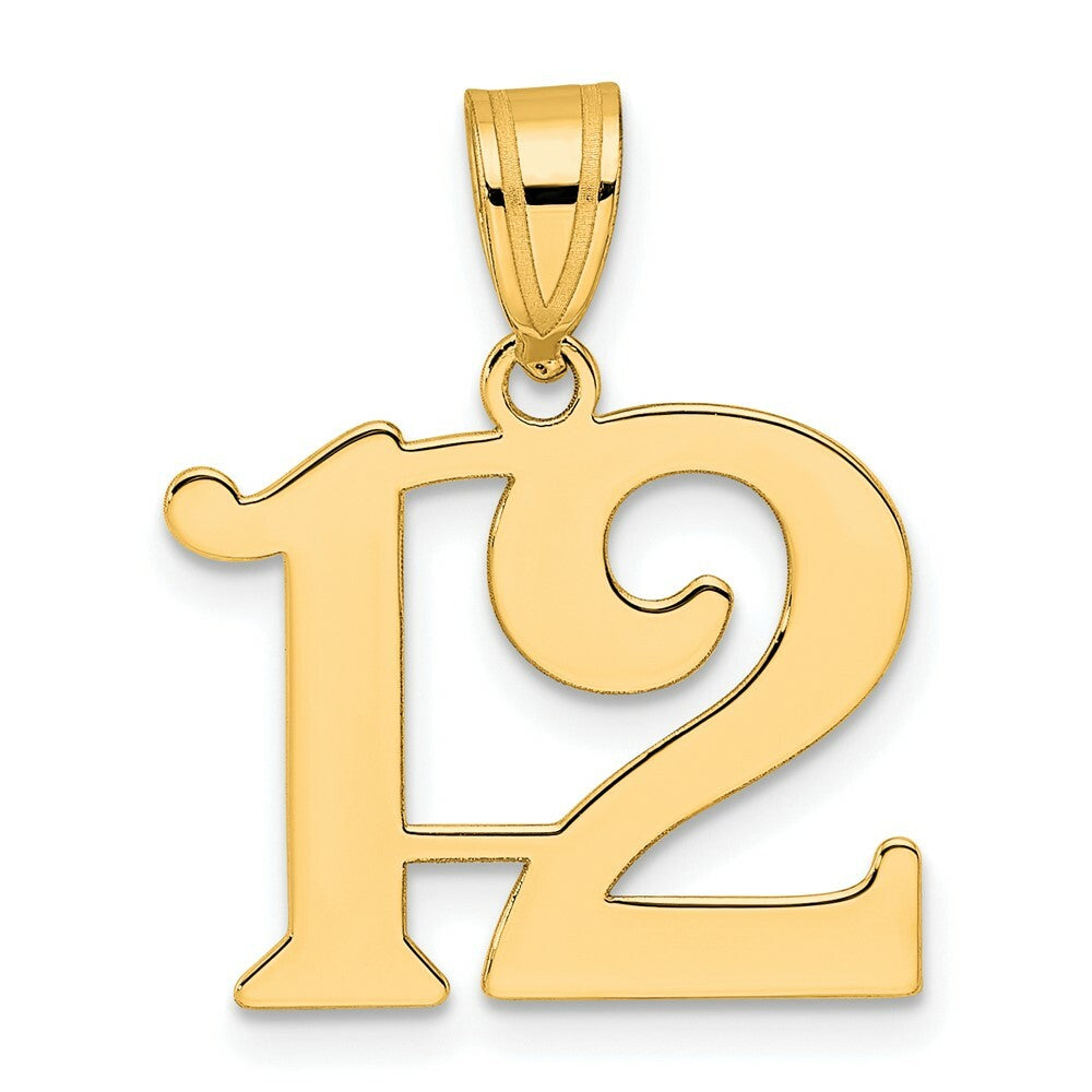 14K Yellow Gold Polished Number 20 Pendant