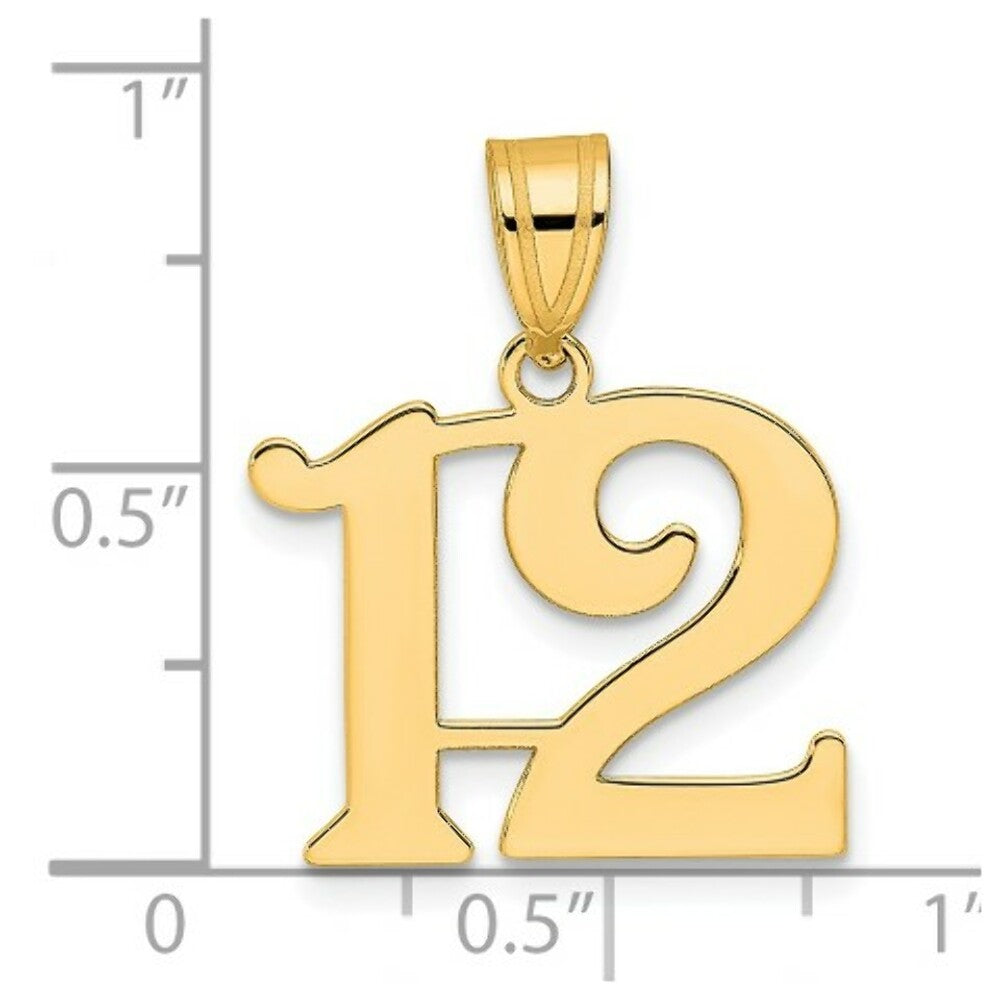14K Yellow Gold Polished Number 20 Pendant