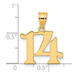 Load image into Gallery viewer, 14K Yellow Gold Polished Number 20 Pendant
