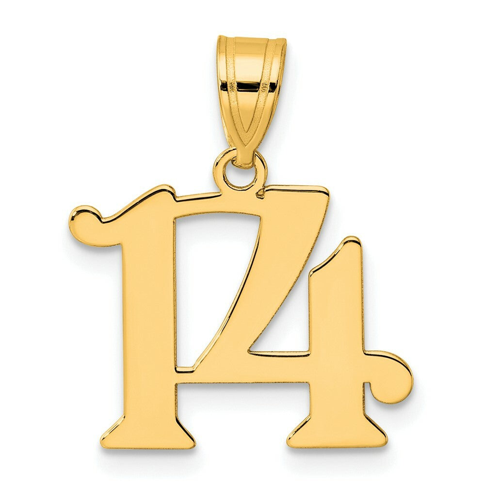 14K Yellow Gold Polished Number 20 Pendant