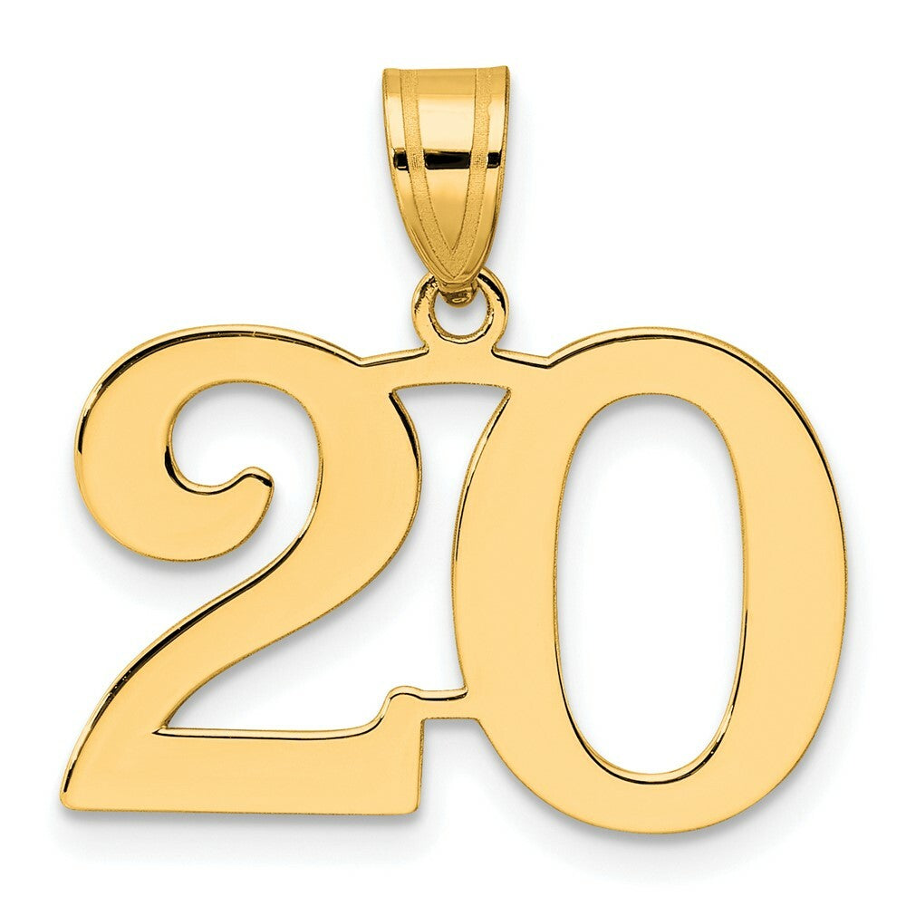14K Yellow Gold Polished Number 20 Pendant