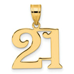 Load image into Gallery viewer, 14K Yellow Gold Polished Number 20 Pendant
