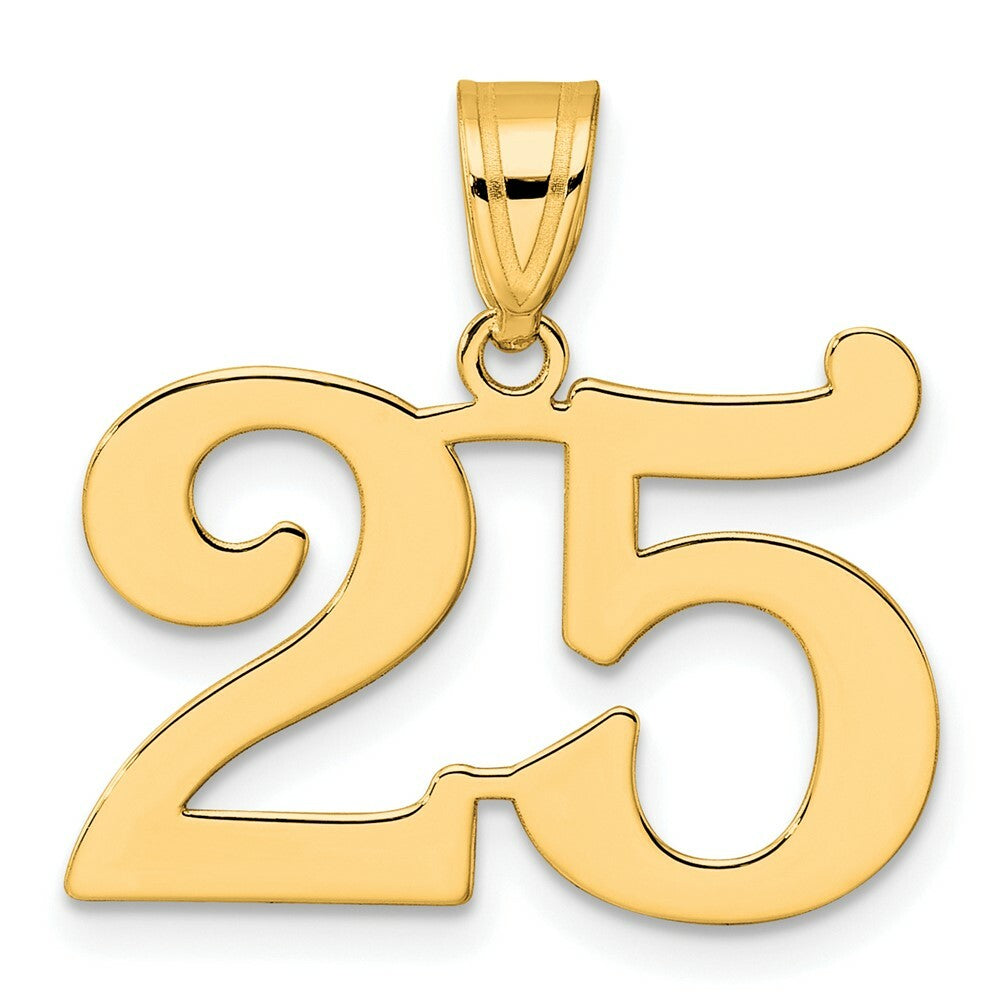 14K Yellow Gold Polished Number 20 Pendant